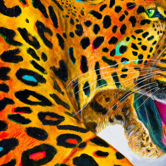 "Backup" by Wojciech Brewka - two overlapping jaguars depicting dynamic harmony and contrast.