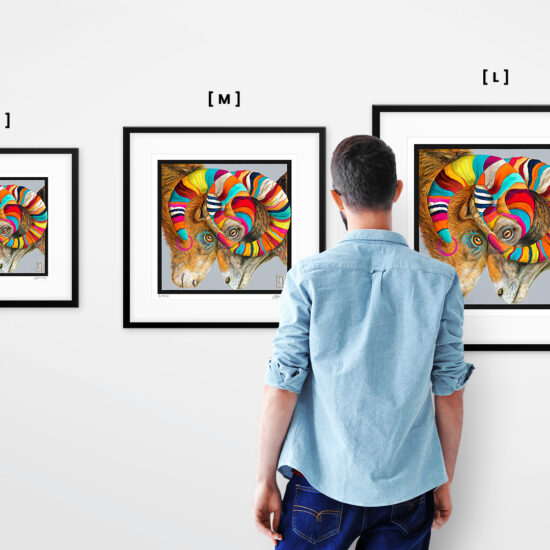 Wojciech Brewka - Support - Image 12